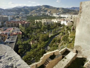 Almunecar tropical grows